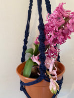 Blue macrame plant hangers