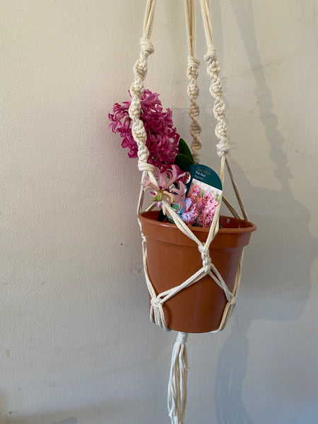 Plant hanger: macrame