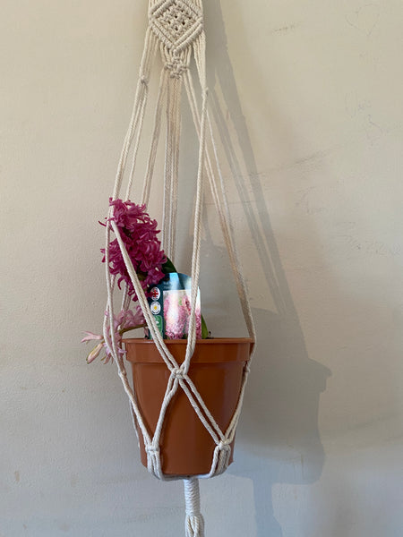 Macrame plant hangers