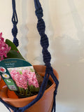 Blue macrame plant hangers